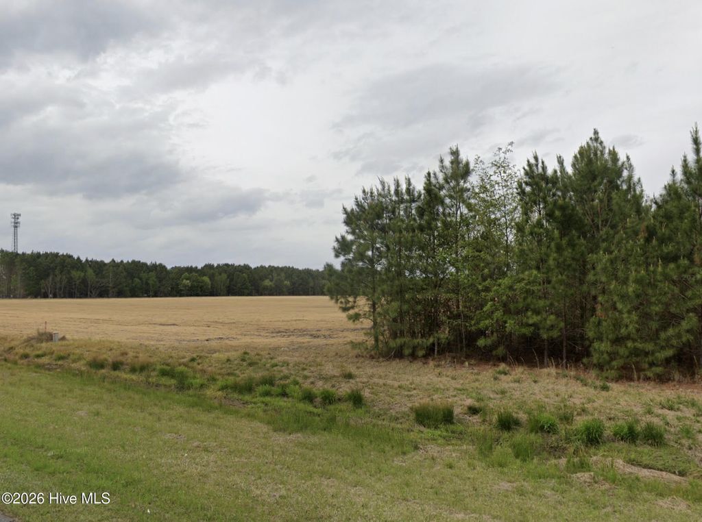 Photo of 0 E Marlboro Rd Road, Farmville, NC 27828 (MLS # 100550954)