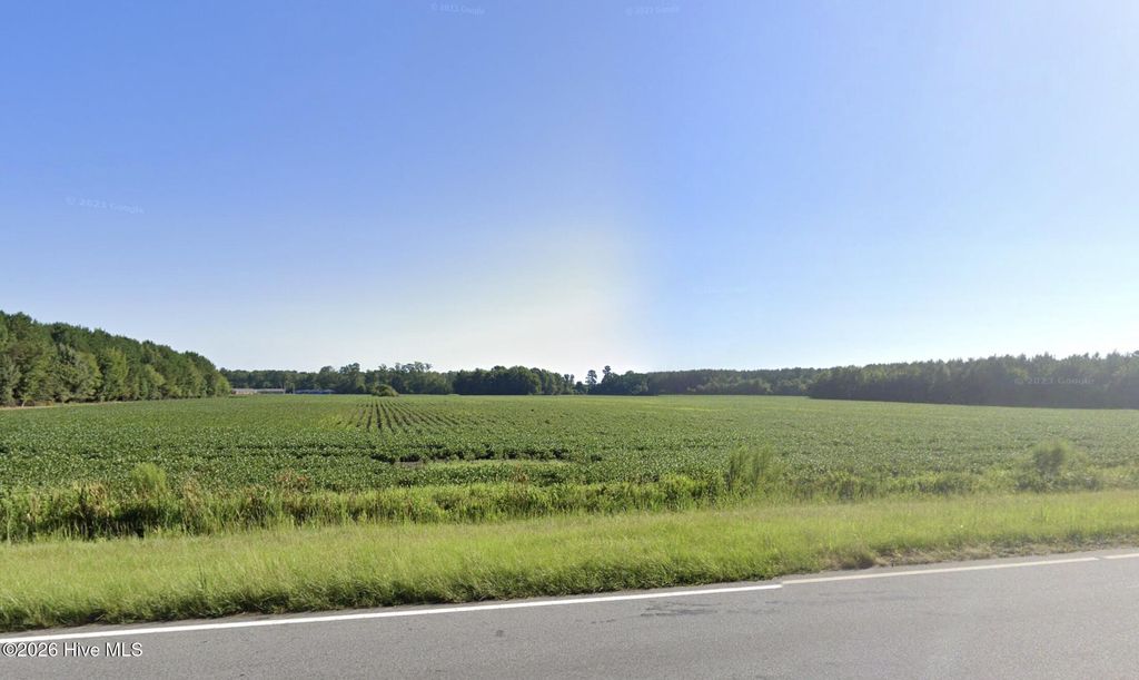 Photo of 0 E Marlboro Rd Road, Farmville, NC 27828 (MLS # 100550954)