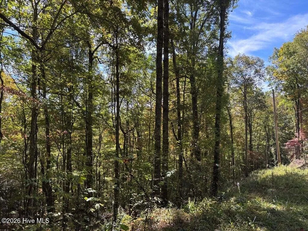 3 Holly Ridge Drive, Topton, NC, 28781