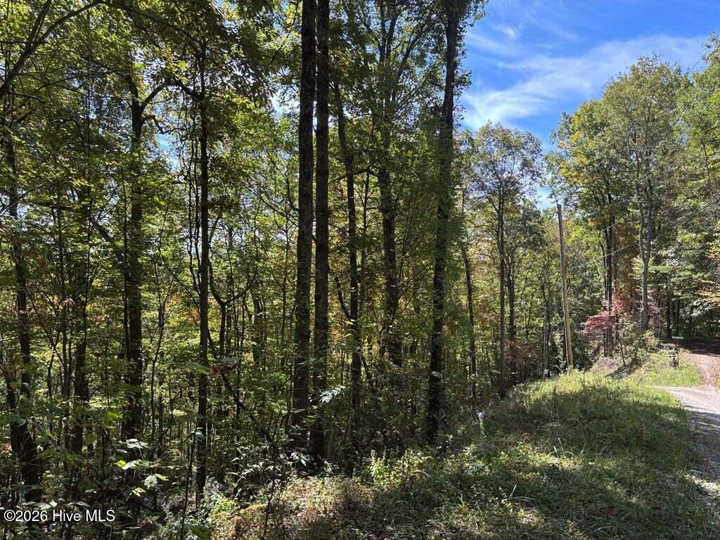 Photo of 3 Holly Ridge Drive, Topton, NC 28781 (MLS # 100604466)
