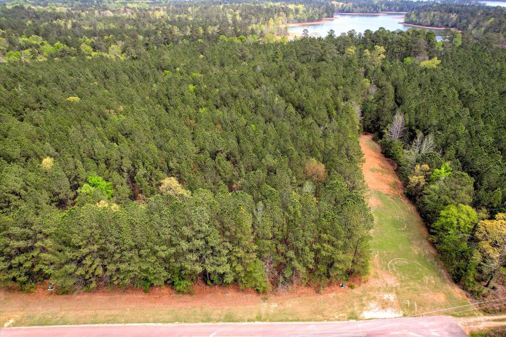 Photo of 1078 Clinton-Williams Road, Lincolnton, GA 30817 (MLS # 554011)