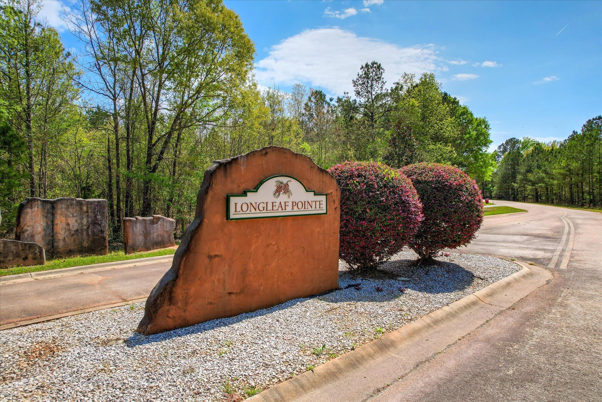 1078 Clinton-Williams Road Lot 13