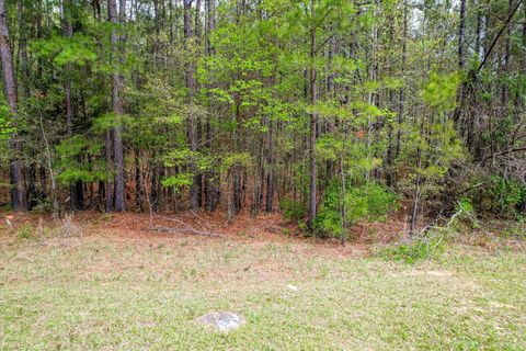 Vacant Land For Sale - 1078 Clinton-williams Road<br/> Lincoln County, Lincolnton, GA 30817