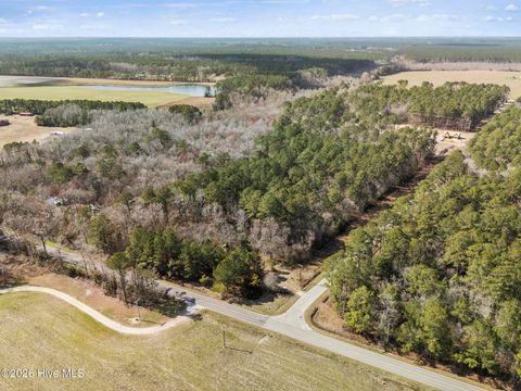 Tiny photo for 1 Page Rd (Walton Lot 1) Court, Burgaw, NC 28425 (MLS # 100566017)