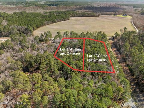 Tiny photo for 1 Page Rd (Walton Lot 1) Court, Burgaw, NC 28425 (MLS # 100566017)