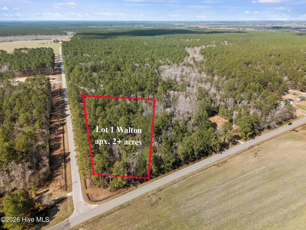 Photo of 1 Page Rd (Walton Lot 1) Court, Burgaw, NC 28425 (MLS # 100566017)