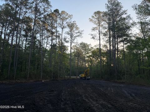 Tiny photo for 1 Page Rd (Walton Lot 1) Court, Burgaw, NC 28425 (MLS # 100566017)