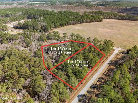 Tiny photo for 1 Page Rd (Walton Lot 1) Court, Burgaw, NC 28425 (MLS # 100566017)