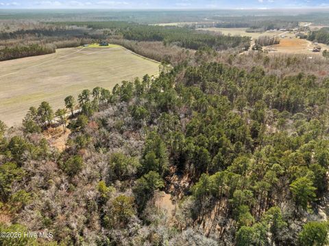 Tiny photo for 1 Page Rd (Walton Lot 1) Court, Burgaw, NC 28425 (MLS # 100566017)