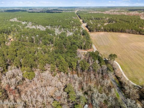 Tiny photo for 1 Page Rd (Walton Lot 1) Court, Burgaw, NC 28425 (MLS # 100566017)