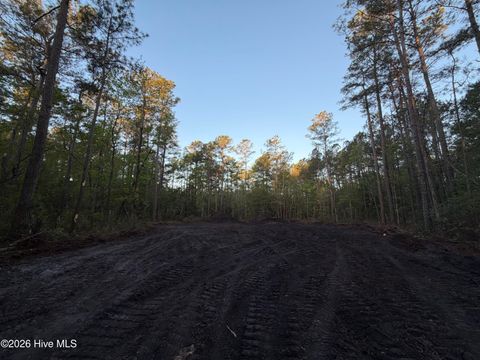 Tiny photo for 1 Page Rd (Walton Lot 1) Court, Burgaw, NC 28425 (MLS # 100566017)