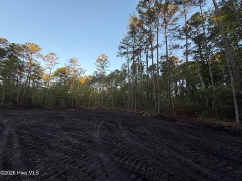Tiny photo for 1 Page Rd (Walton Lot 1) Court, Burgaw, NC 28425 (MLS # 100566017)
