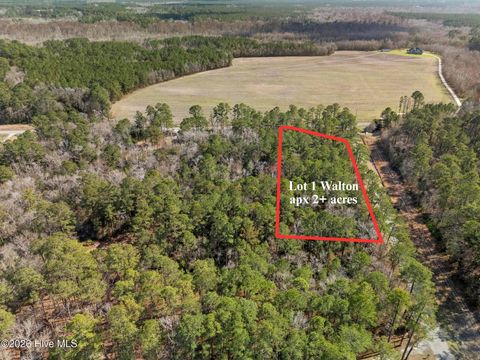 Tiny photo for 1 Page Rd (Walton Lot 1) Court, Burgaw, NC 28425 (MLS # 100566017)