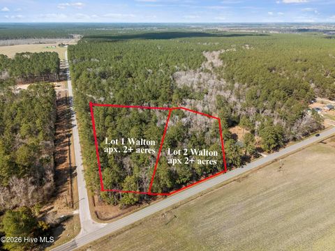 Tiny photo for 1 Page Rd (Walton Lot 1) Court, Burgaw, NC 28425 (MLS # 100566017)