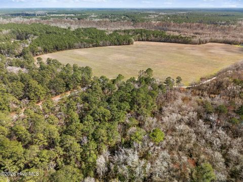 Tiny photo for 1 Page Rd (Walton Lot 1) Court, Burgaw, NC 28425 (MLS # 100566017)