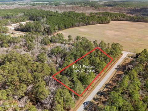 Tiny photo for 1 Page Rd (Walton Lot 1) Court, Burgaw, NC 28425 (MLS # 100566017)