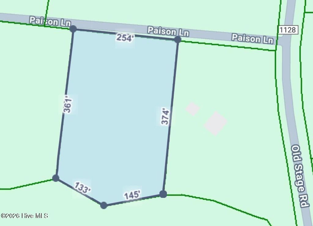 Photo of Tbd Paison Lane, Gibson, NC 28343 (MLS # 100548755)