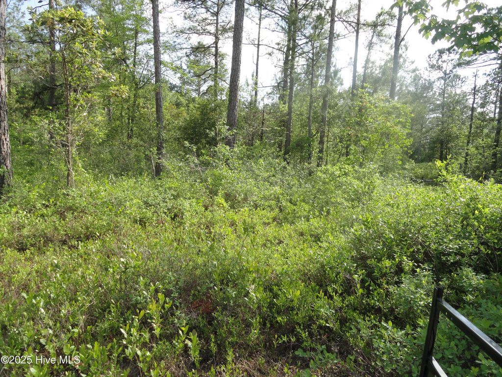 Photo of 2 River Trail, Burgaw, NC 28425 (MLS # 100503843)