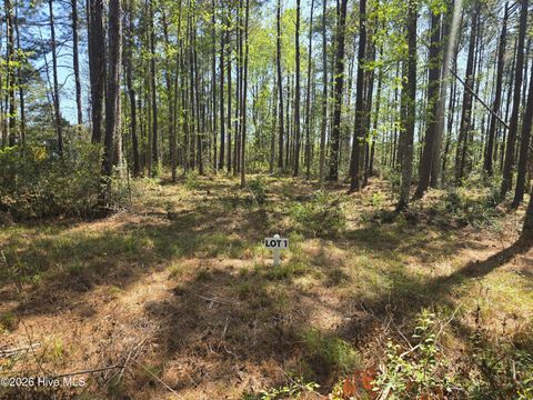 Tiny photo for 1 Renee Drive, Hampstead, NC 28443 (MLS # 100566999)