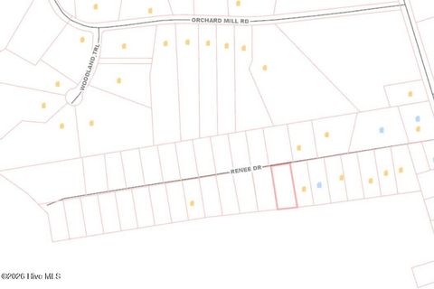 Tiny photo for 1 Renee Drive, Hampstead, NC 28443 (MLS # 100566999)