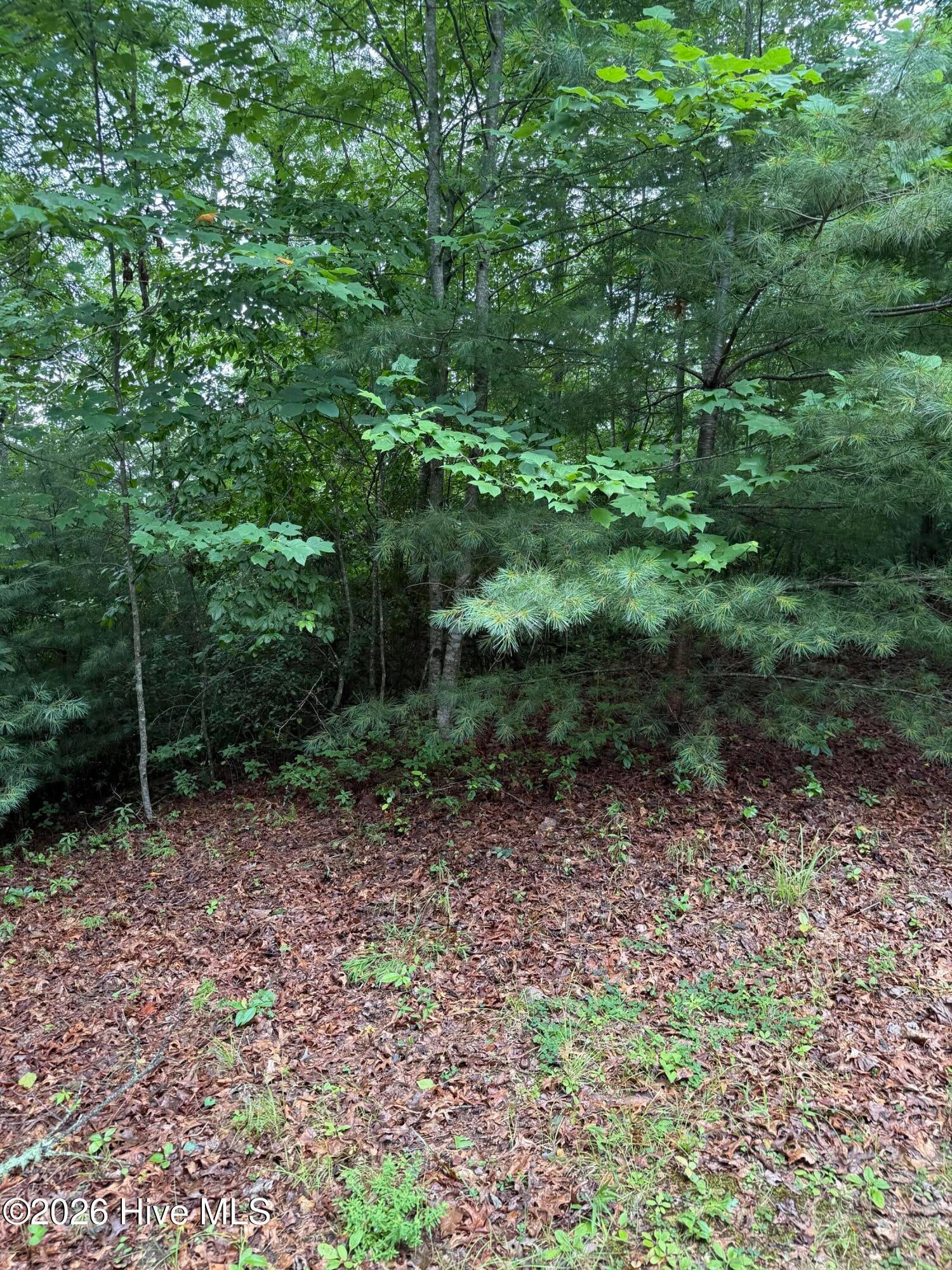 Lot 14 14 Mountain Vista Lane