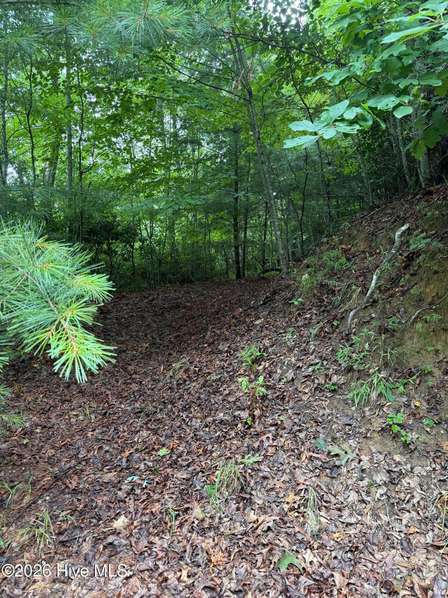 Lot 14 14 Mountain Vista Lane