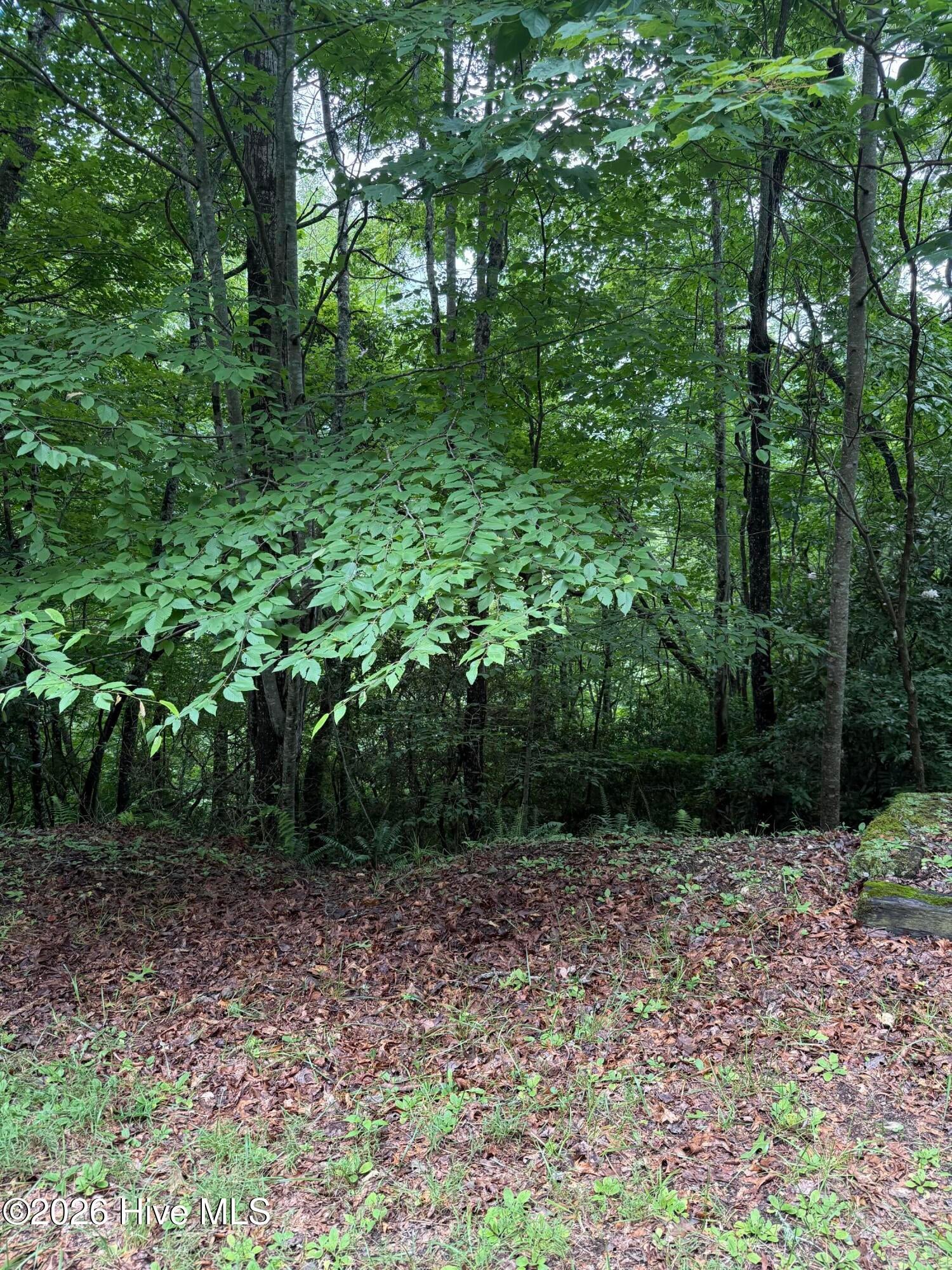 Lot 14 14 Mountain Vista Lane