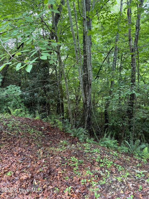 Vacant Land For Sale - LOT 14 Mountain Vista Lane<br/> Topton, NC 28781