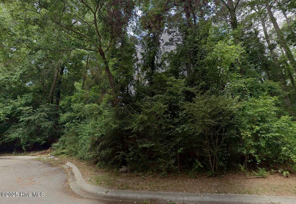 Photo of 11 Fairfax Road, Kinston, NC 28504 (MLS # 100551845)