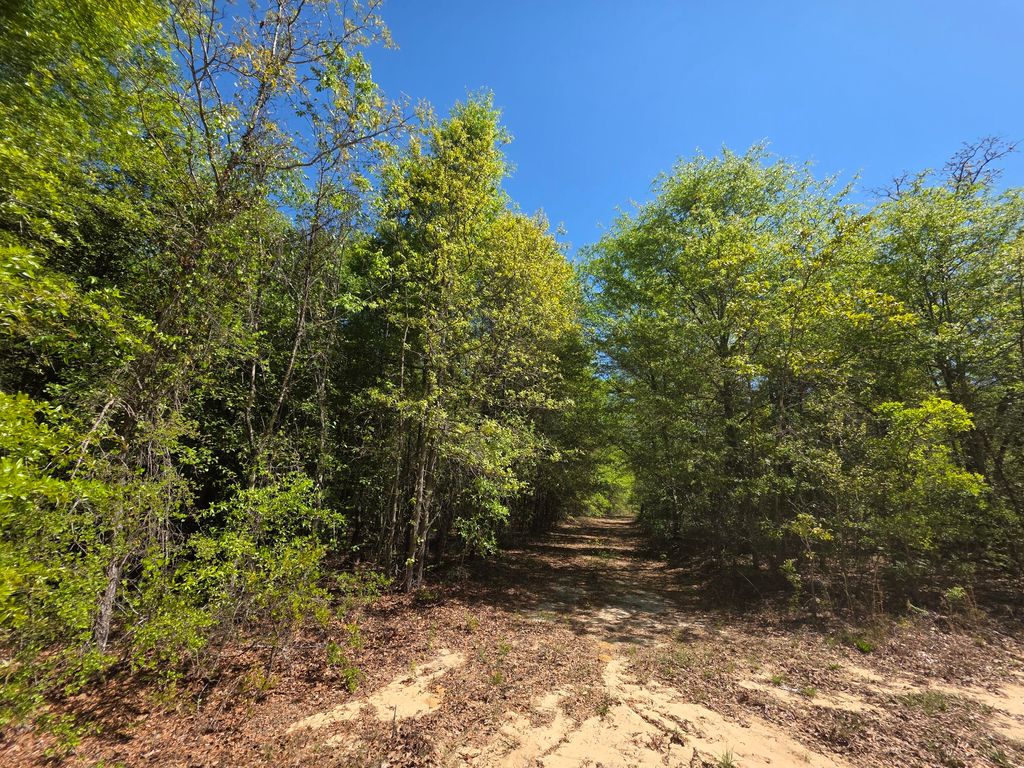 Photo of 3 Briarwood Drive, Williston, SC 29853 (MLS # 554366)