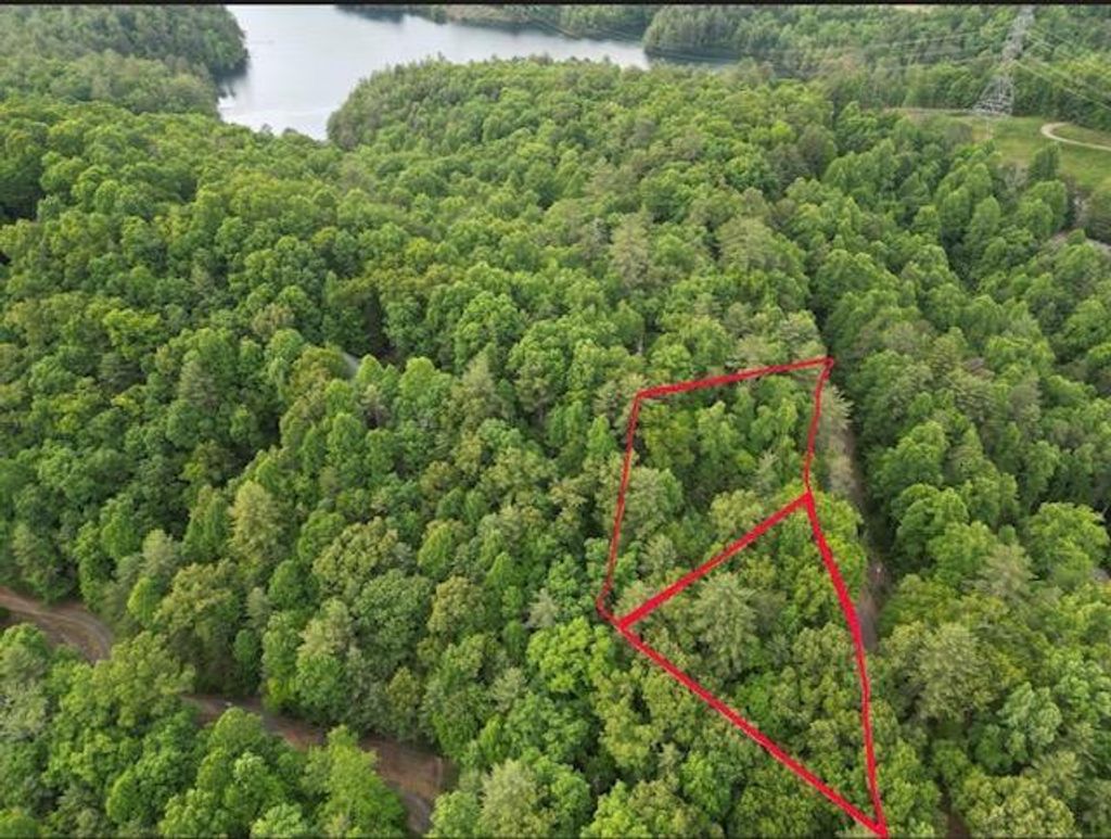 Photo of 13 Dogwood Trail, Robbinsville, NC 28771 (MLS # 98544664)
