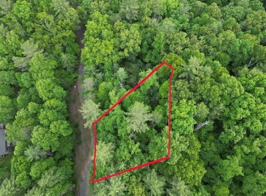 DOGWOOD TRL, ROBBINSVILLE, NC 28771 - Image 92bdbb1cc29dcf1bc6e2eac941e24ab5/963909274