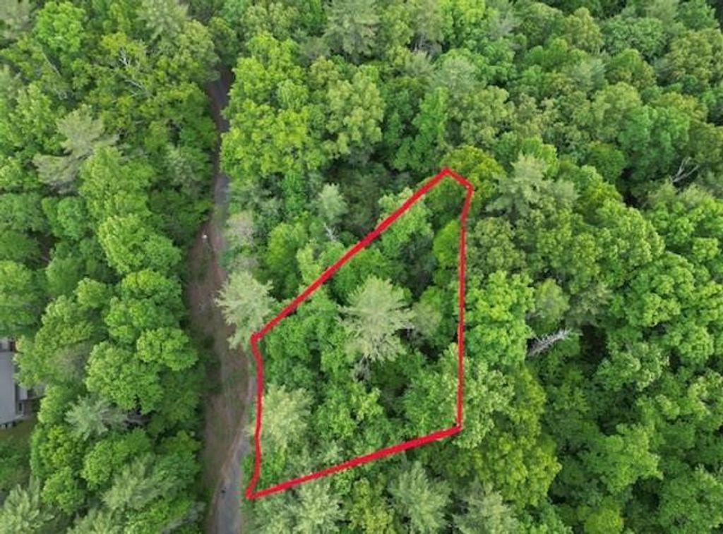 Photo of 13 Dogwood Trail, Robbinsville, NC 28771 (MLS # 98544664)