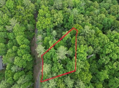 Vacant Land For Sale - 000 Dogwood Trail<br/> Graham County, Robbinsville, NC 28771