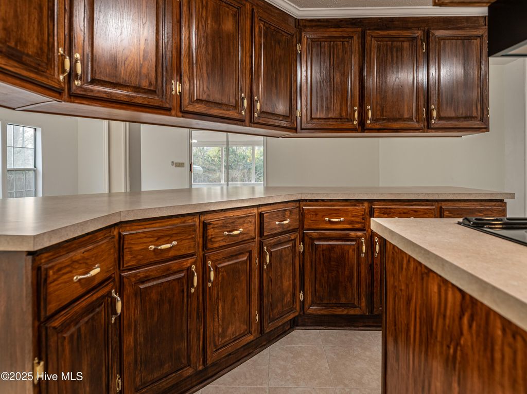 Photo of 142 Pine Valley Lane, West End, NC 27376 (MLS # 100546250)