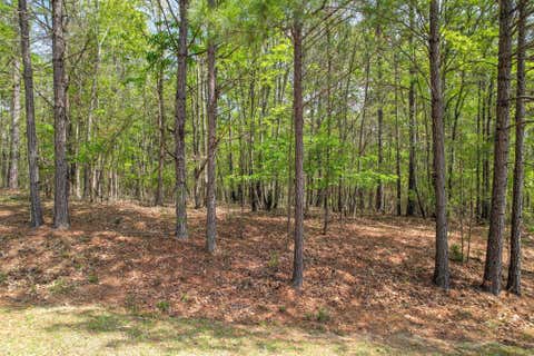 Vacant Land For Sale - 1018 Pineknoll Lane<br/> Lincolnton, GA 30817