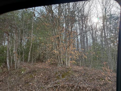 Vacant Land For Sale - Paradise Street<br/> Murphy, NC 28906
