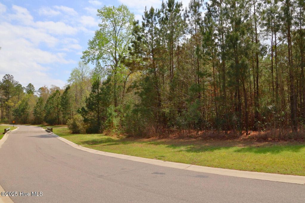 Photo of 9319 Fallen Pear Lane NE, Leland, NC 28451 (MLS # 100576355)