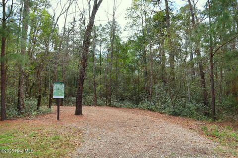 Tiny photo for 9319 Fallen Pear Lane NE, Leland, NC 28451 (MLS # 100576355)