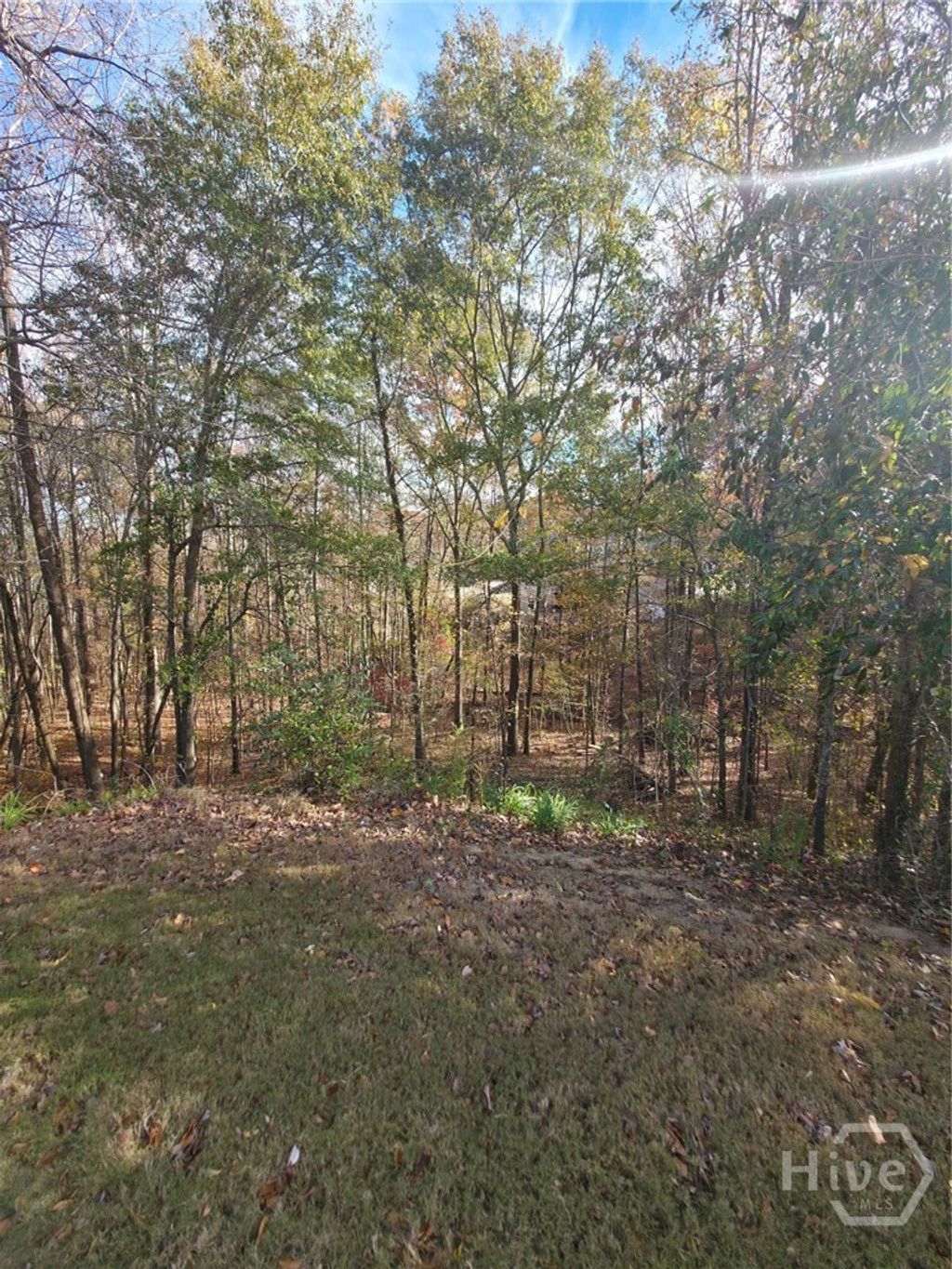 Photo of 2412 Snowshoe Bend, Bethlehem, GA 30620 (MLS # CL355664)