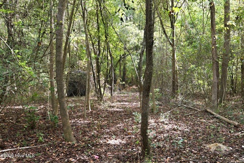Tiny photo for 255 Old Fountain Road, Richlands, NC 28574 (MLS # 100609488)