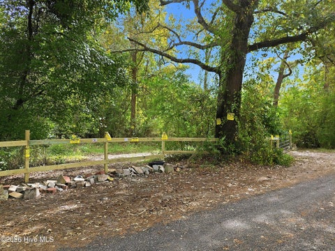 Photo of 255 Old Fountain Road, Richlands, NC 28574 (MLS # 100609488)