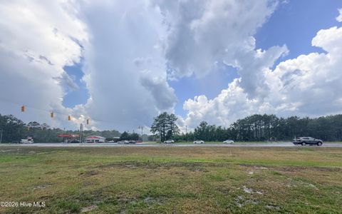 Tiny photo for Tract F Us 421 Highway N, Currie, NC 28435 (MLS # 100586764)