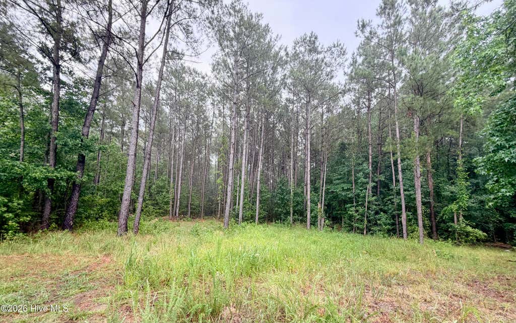 Photo of Tract F Us 421 Highway N, Currie, NC 28435 (MLS # 100586764)