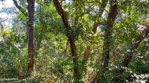 Vacant Land For Sale - 51 Fort Holmes Trail<br/> Brunswick County, Bald Head Island, NC 28461
