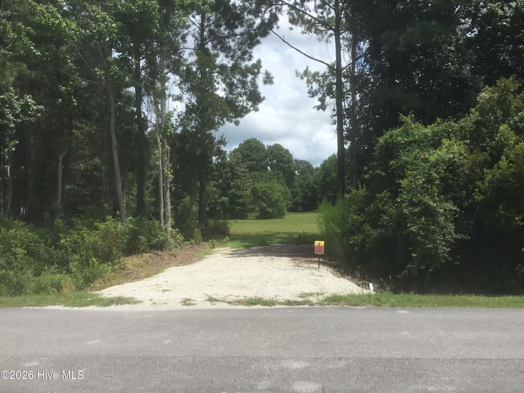 Photo of 0 Joans Haven Drive, Newport, NC 28570 (MLS # 100547186)