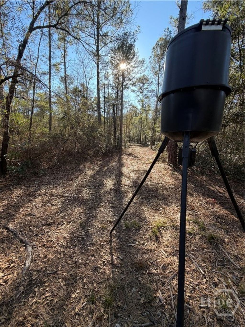 Photo of 3833 Old Louisville Road, Guyton, GA 31312 (MLS # SA346045)