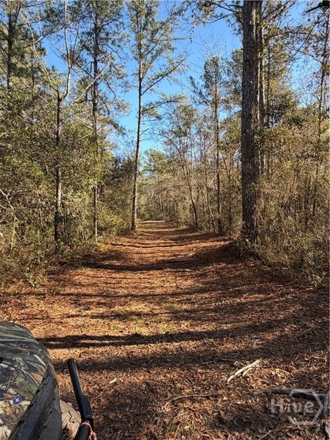 Vacant Land For Sale - 3833 Old Louisville Road<br/> Guyton, GA 31312
