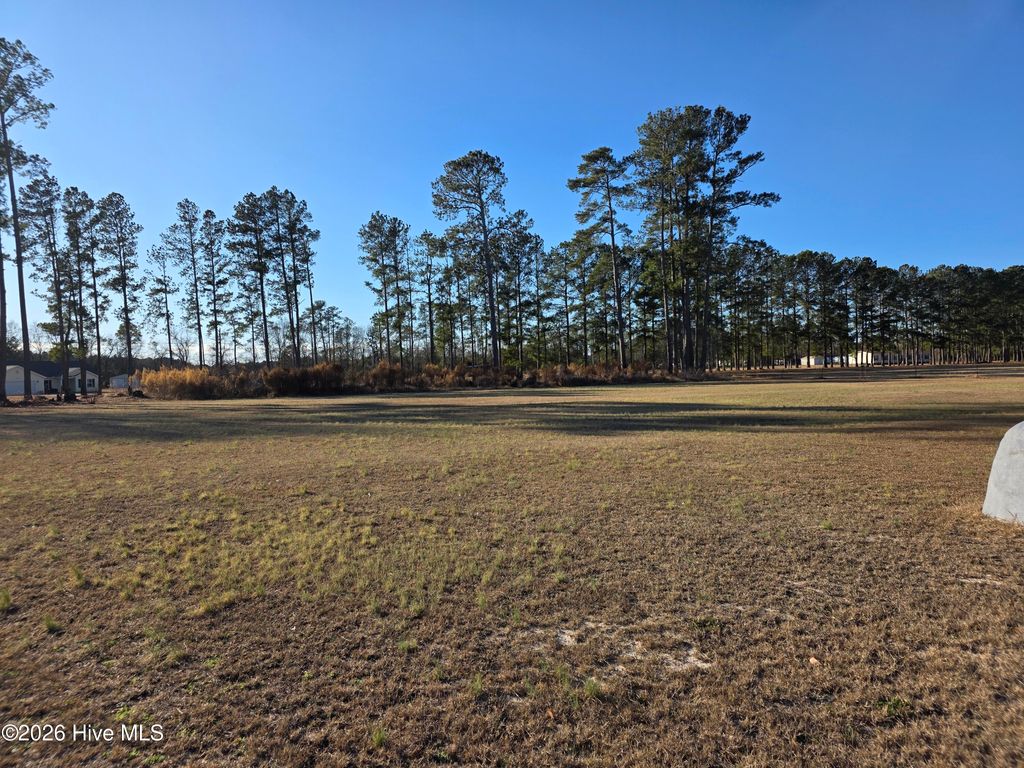 Photo of 183 Ladybell Drive, Orrum, NC 28369 (MLS # 100556007)