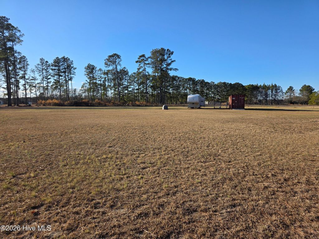 Photo of 183 Ladybell Drive, Orrum, NC 28369 (MLS # 100556007)
